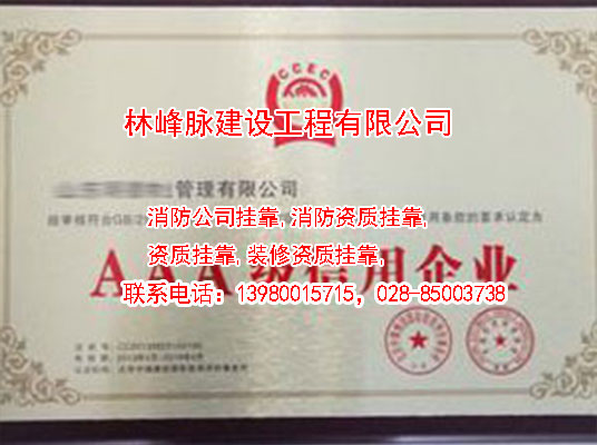 资质挂靠