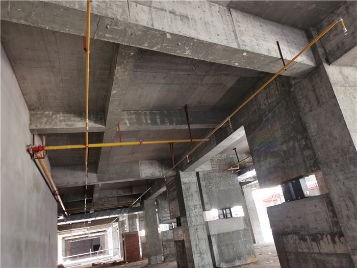 香港内部精准码