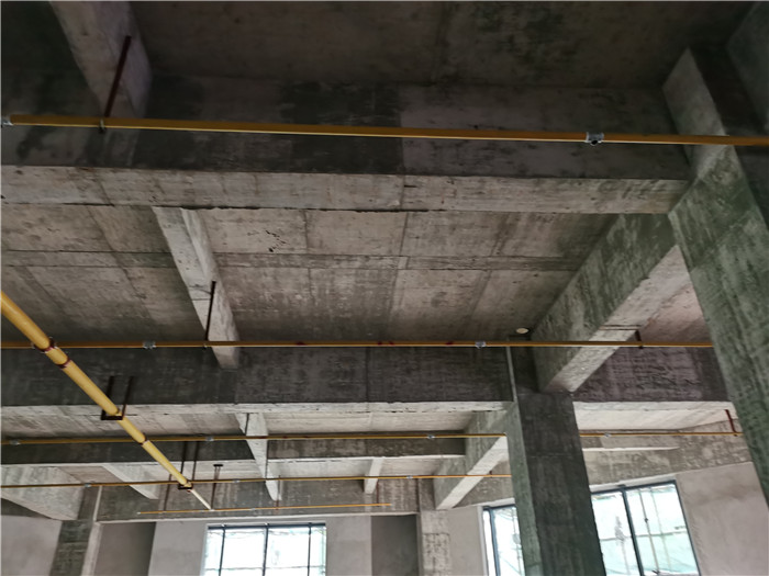 香港内部精准码