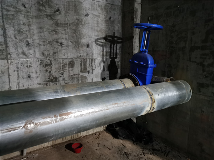 香港内部精准码