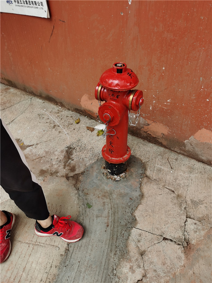 香港内部精准码