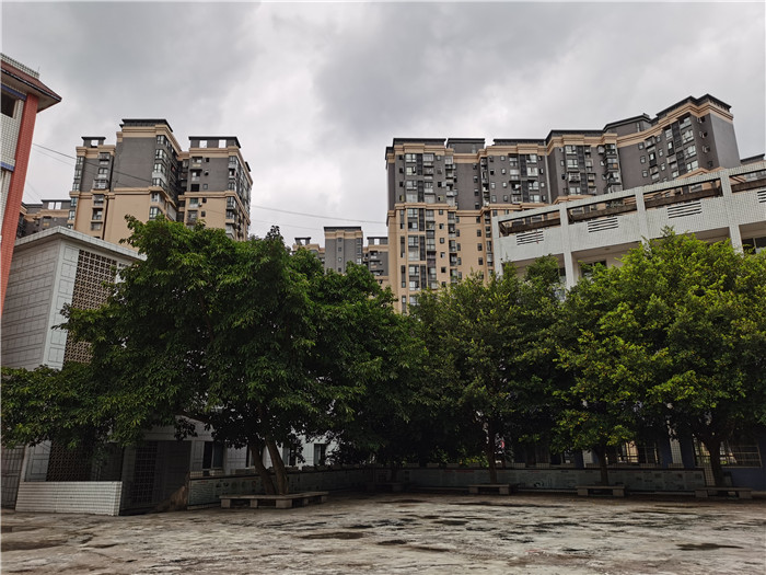 香港内部精准码