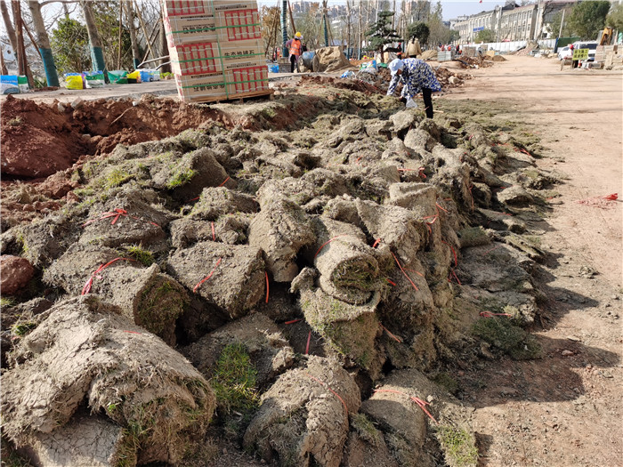 香港内部精准码
