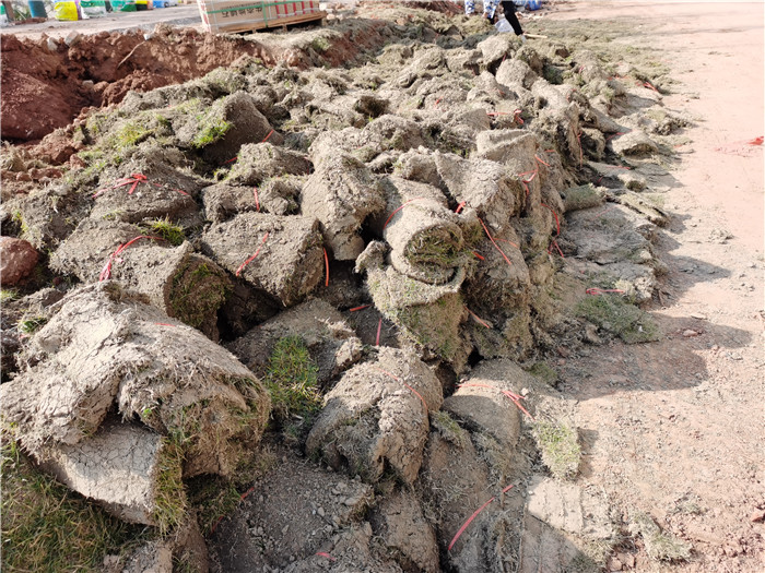 香港内部精准码