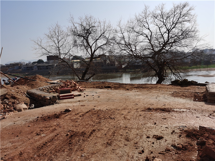 香港内部精准码