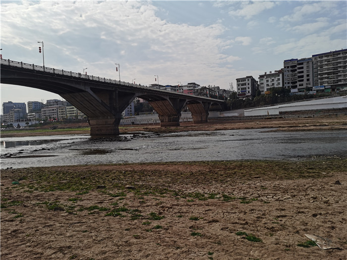 香港内部精准码