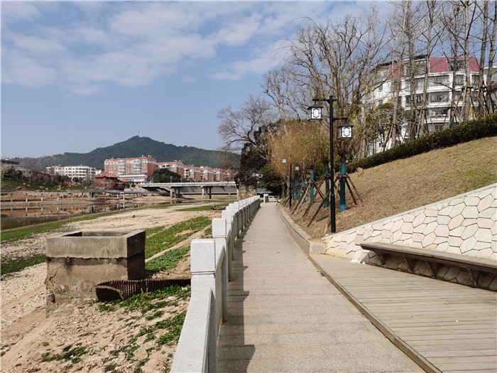 香港内部精准码