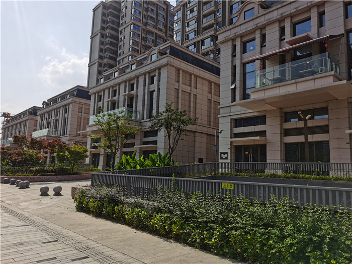 香港内部精准码