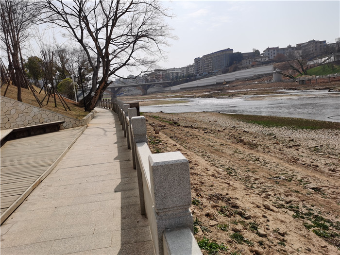 香港内部精准码