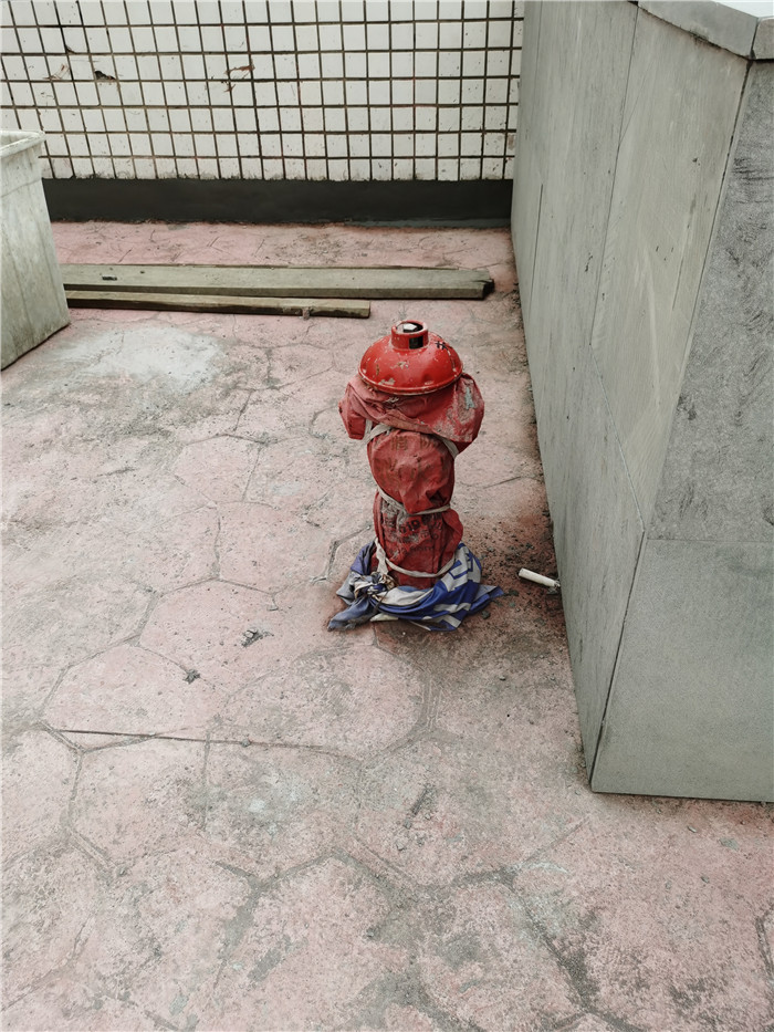 香港内部精准码