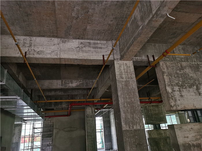 香港内部精准码